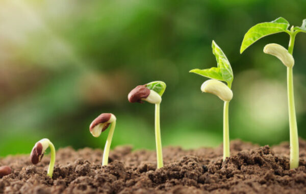 Groei van het aantal leden