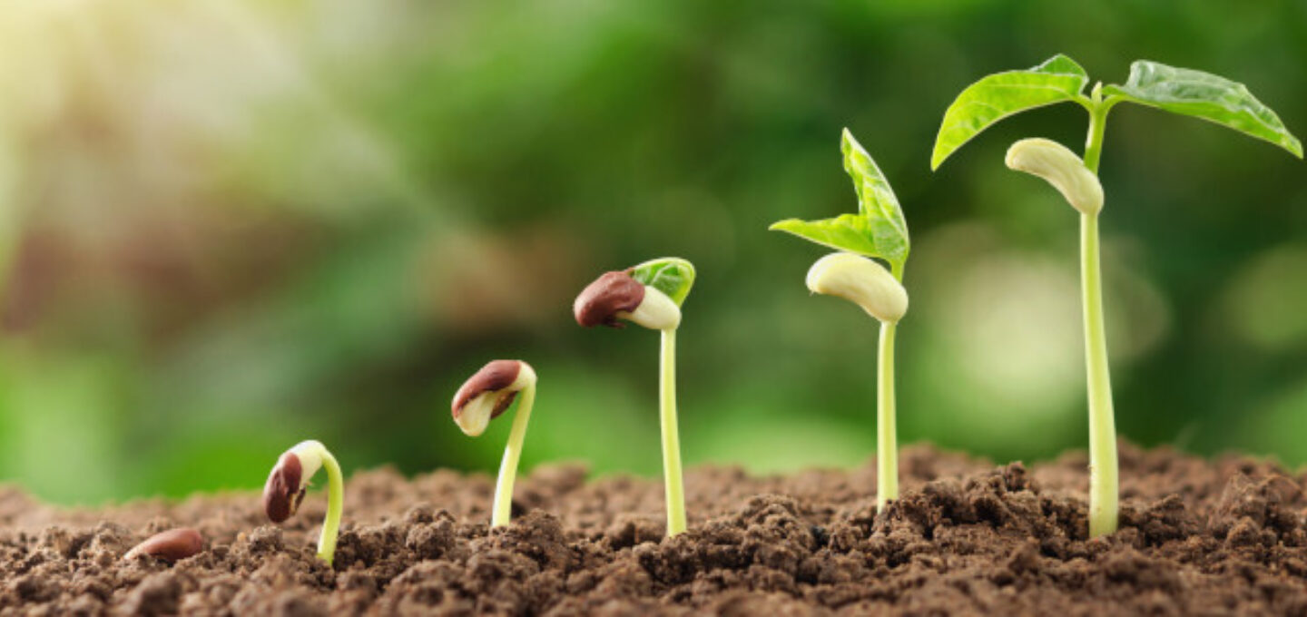 Groei van het aantal leden